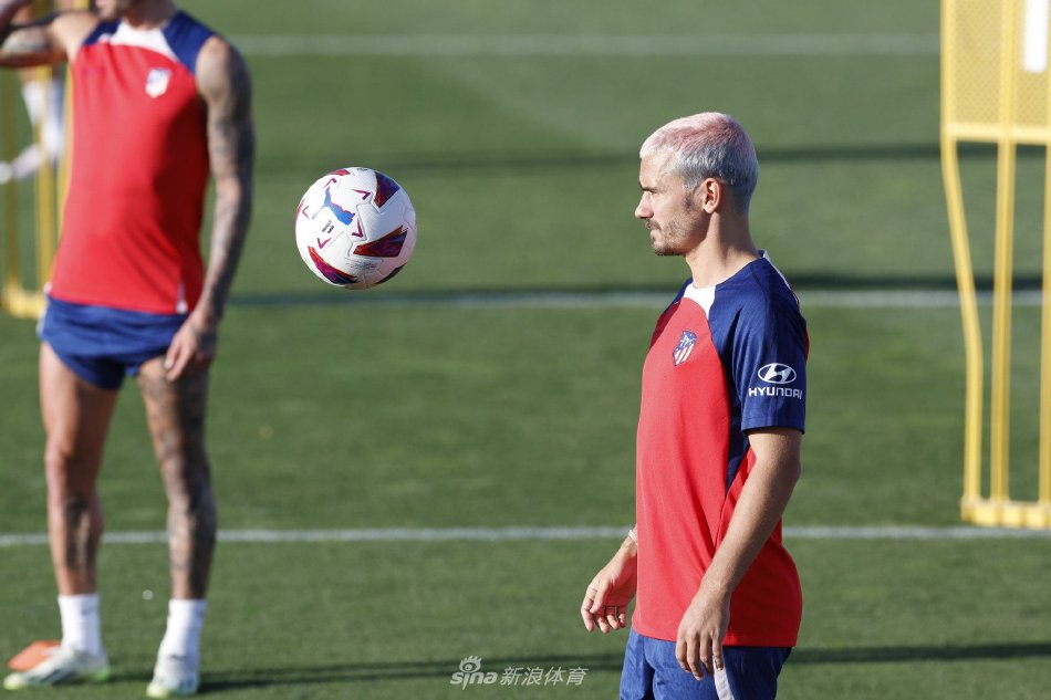 支豪门调整 支豪门调整