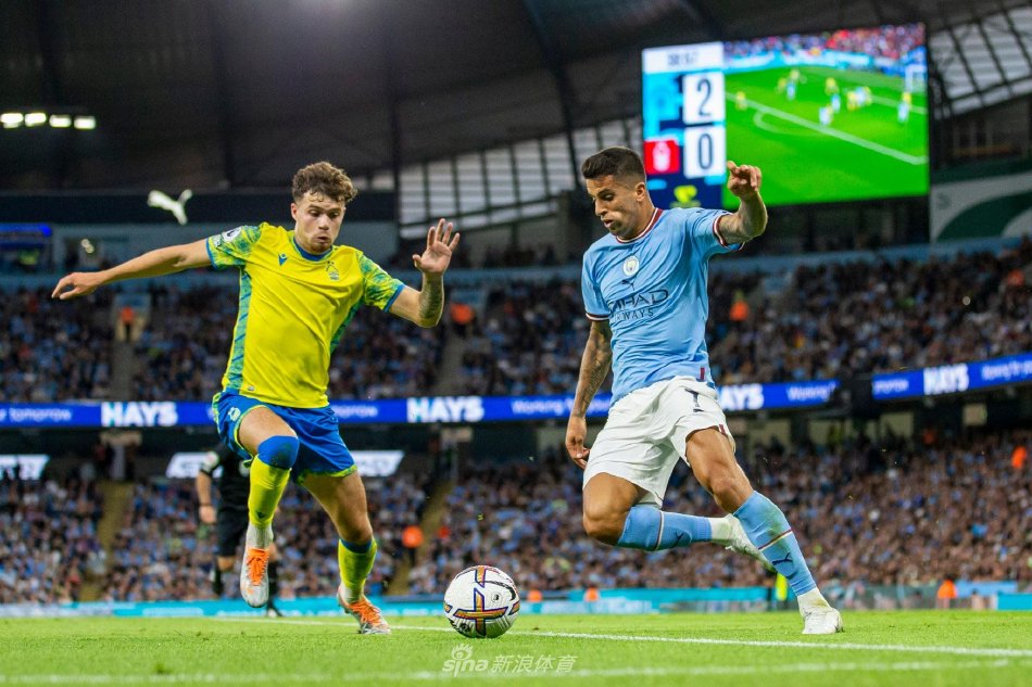 也凝聚了球 也凝聚了球